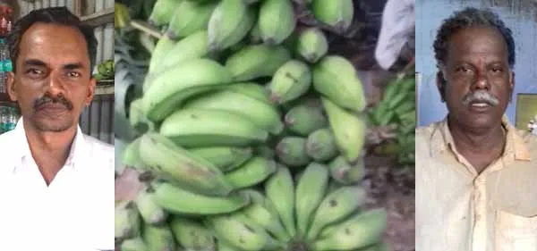 Sirumalai Banana  